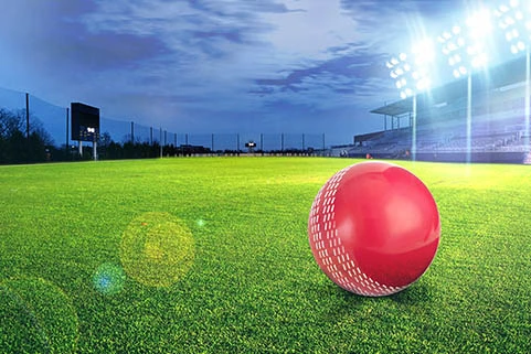 Cricket Net